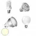 Cool White Light Bulbs Cool White Light Bulbs