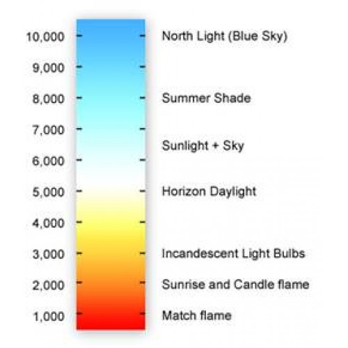 14watt GLS LED ES E27 Screw Cap Daylight 6500k Equivalent To 100watt  Dimmable - The Lightbulb Co. UK