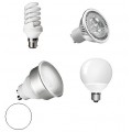 Daylight Light Bulbs Daylight Light Bulbs