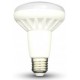 R80 LED Light Bulbs