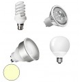 Warm White Light Bulbs Warm White Light Bulbs